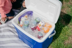 IGLOO Laguna 28QT Cool Box Red 20 IGLOO Laguna 28QT Cool Box Red -Outdoor Camping Equipment Store kb309529a331bee3c9613a50999a7df51