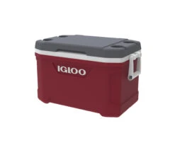 IGLOO Latitude 52QT Cool Box Red 15 IGLOO Latitude 52QT Cool Box Red -Outdoor Camping Equipment Store kd151df04d57c9fc7ca9aef084985ced5